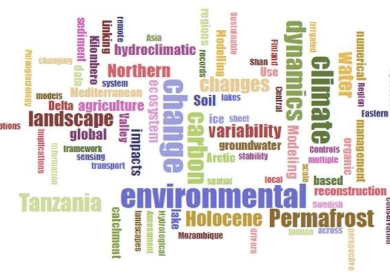 The most common words (Word Cloud) in our dissertations in the last 10 years. Photo Helle Skånes.