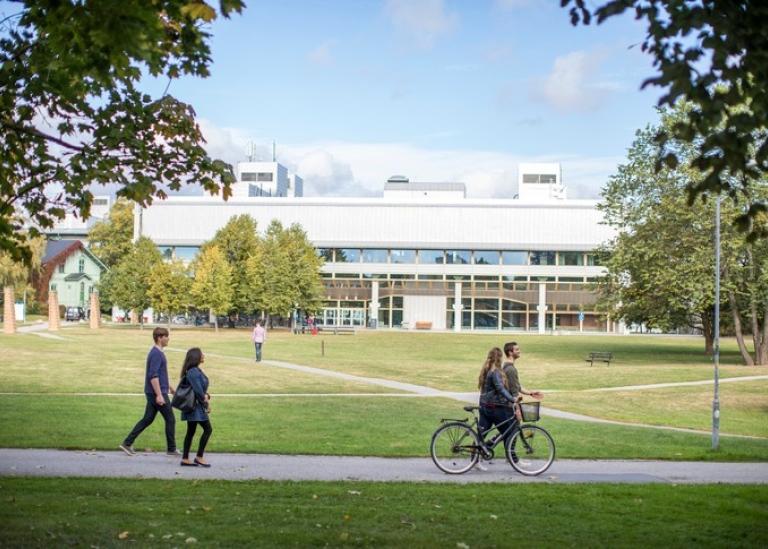 Studenter går på en gångväg vid en stor gräsmatta vid Stockholms universitets campus vid Frescati.Foto: Niklas Björling