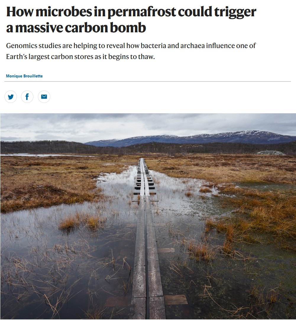 How microbes in permafrost could trigger a massive carbon bomb