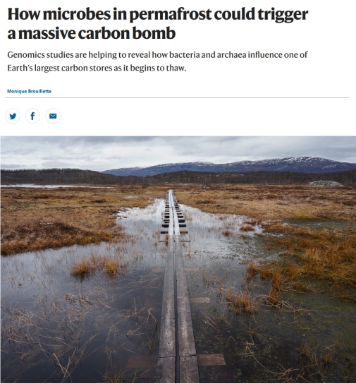 A boardwalk for traversing Sweden’s Stordalen Mire sinks in the thawing landscape. Credit: M. Hough