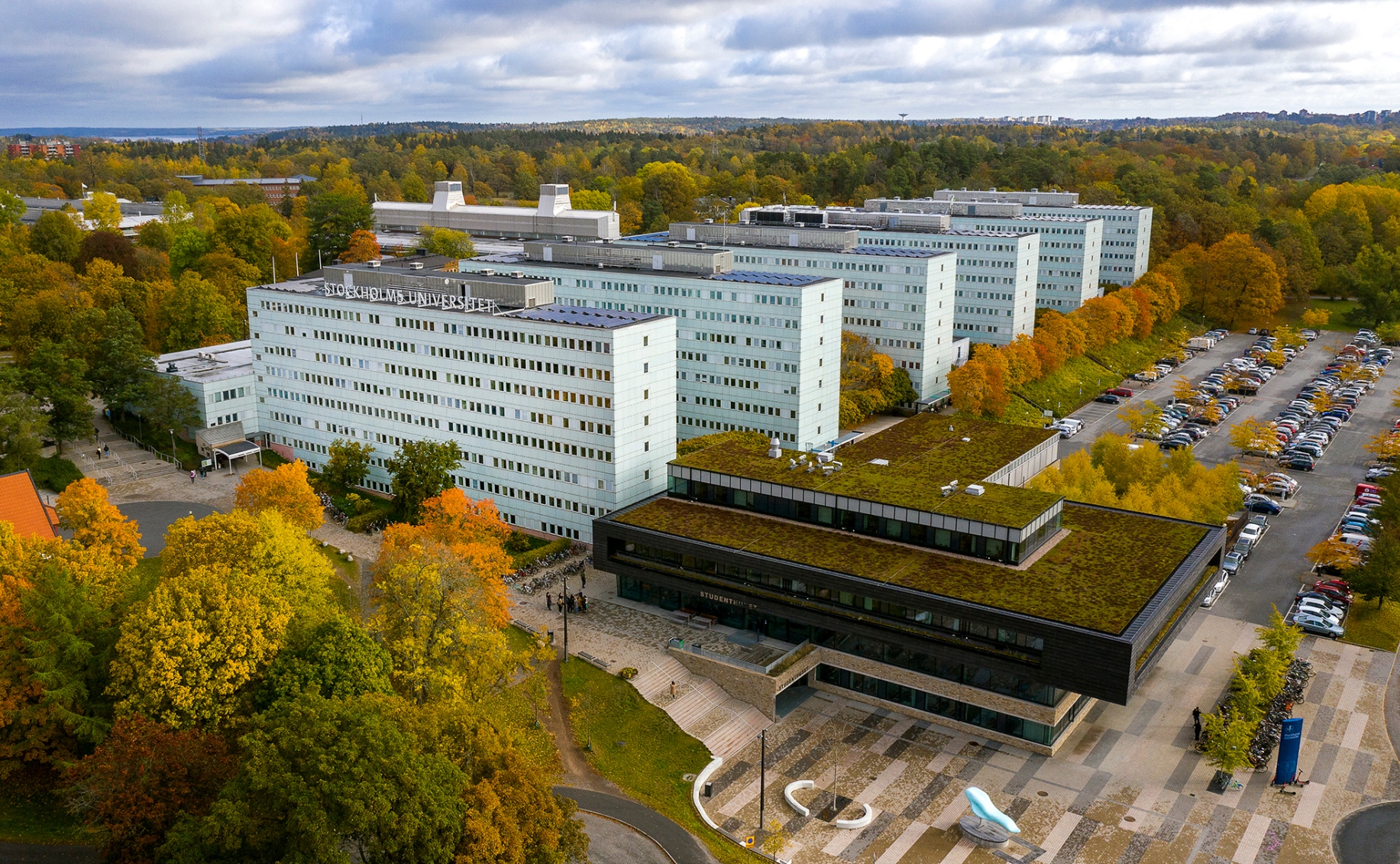 stockholms-universitet-topp-50-i-v-rlden-inom-fem-mnen-stockholms