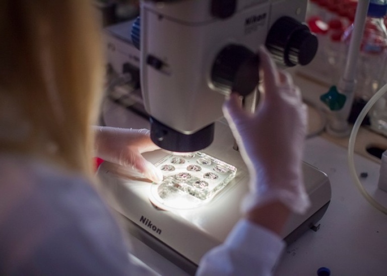 A person using a microscope.