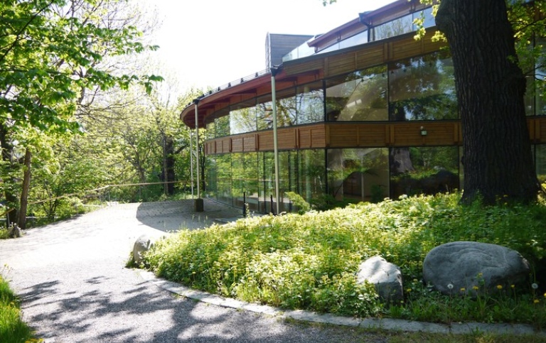 Grönskande träd och gräs utanför Aula Magna.