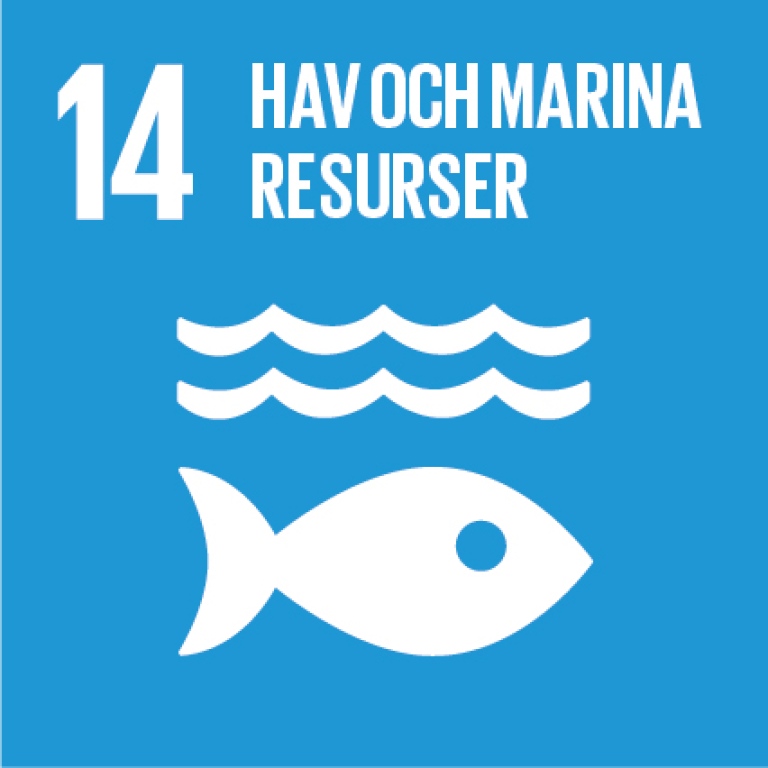 FN:s hållbarhetsmål 14 - Hav och marina resurser