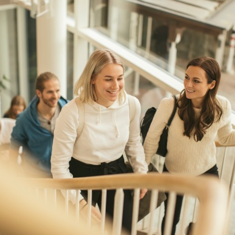 Studenter går uppför en trappa. 