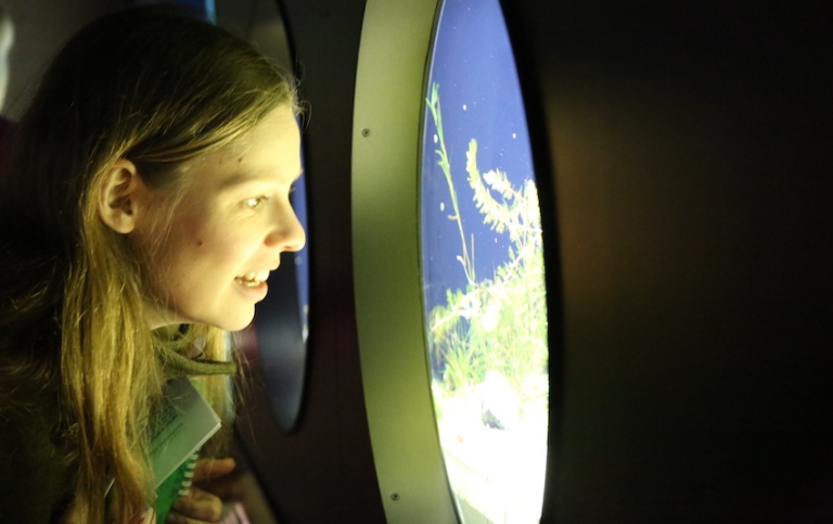 Person kikar in i akvariet på Baltic Sea Science Center