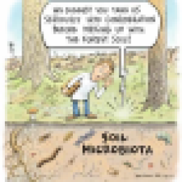 Hotsoils  Soil Microbiota