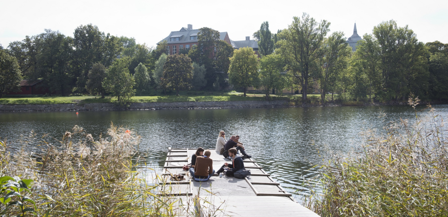 Students on a bridge in Brunnsviken, Kräftriket in the background.