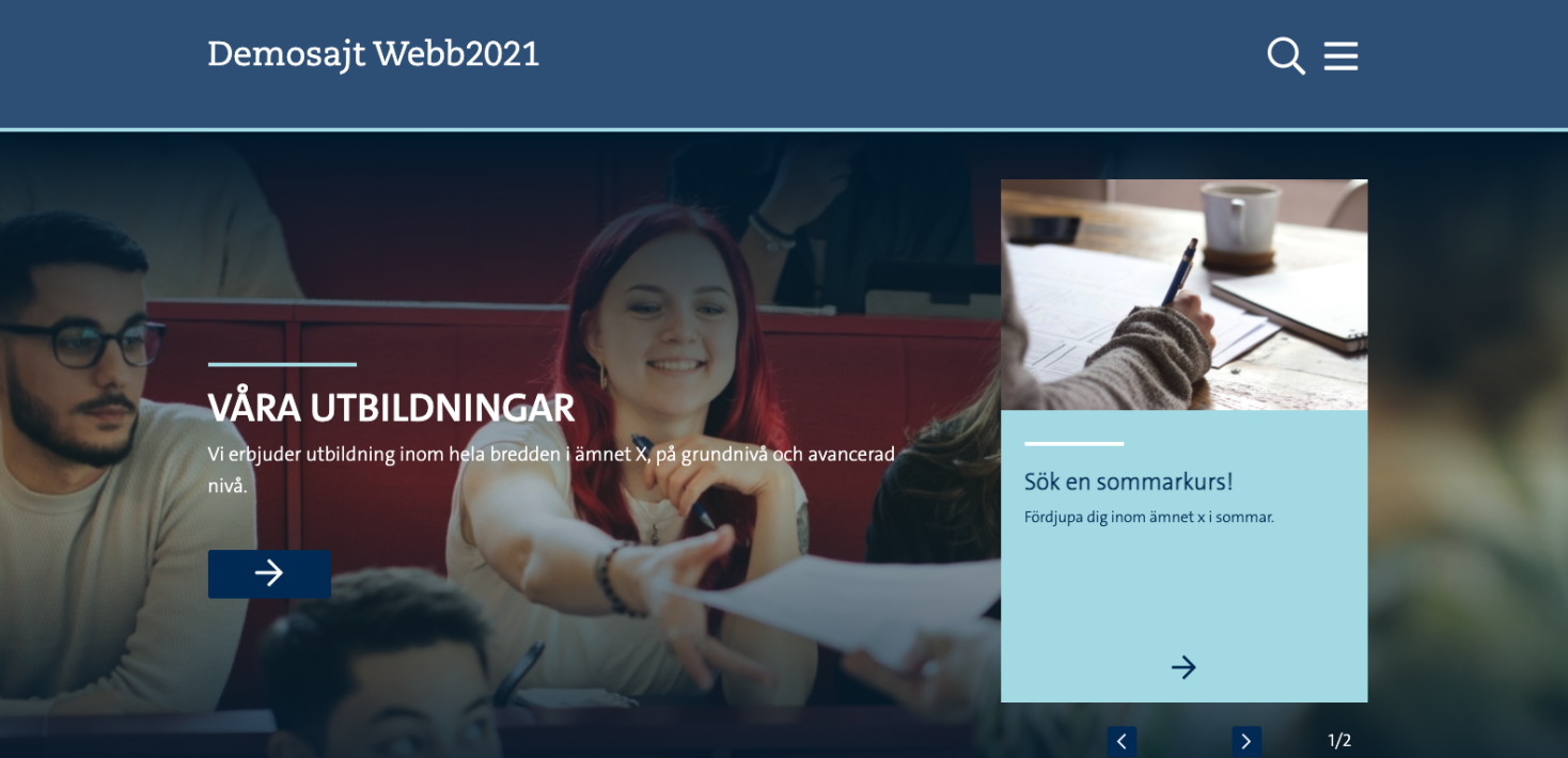 Skärmdump av toppytan på institutionswebben.