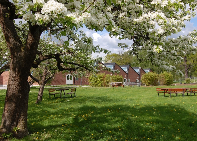 Outdoor seating for break or study. Photo: Ylva Carlsdotter/BUV.