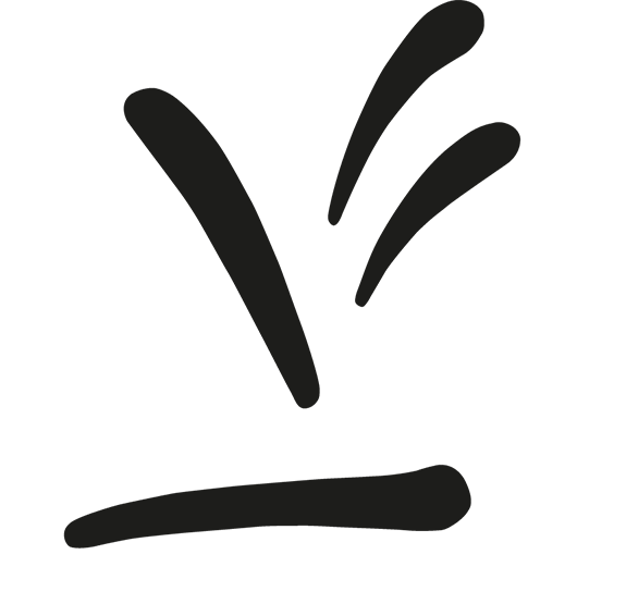Swedish Research Council - logotype