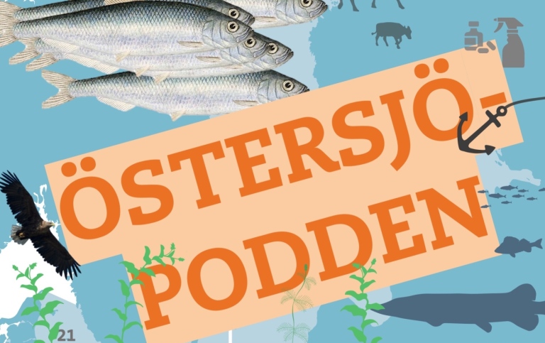 Östersjöpodden – en ny podd om havsforskning och politik