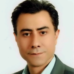 Afshin Afsharipour