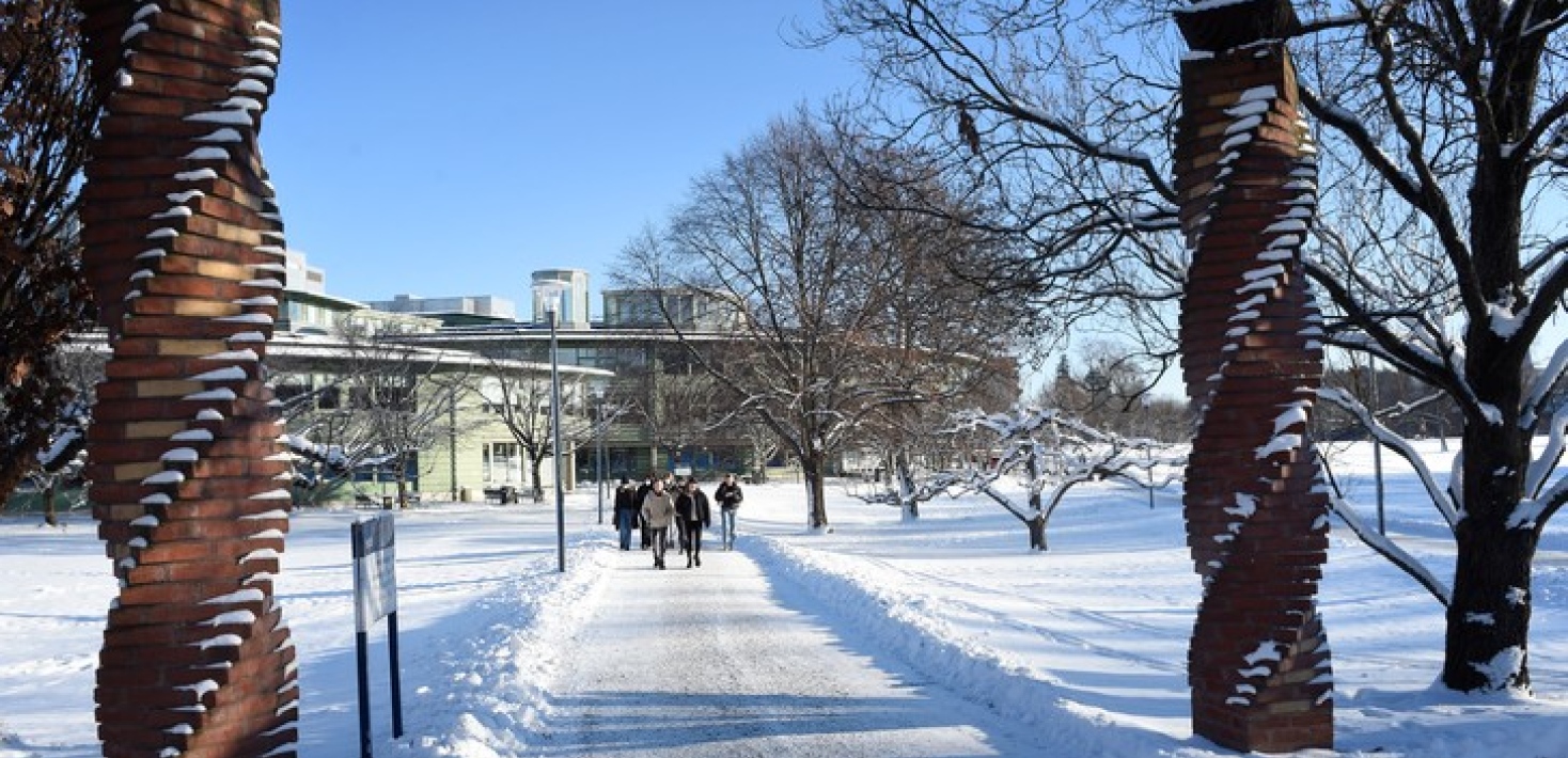 The walkway from the metro to the Geo-science building