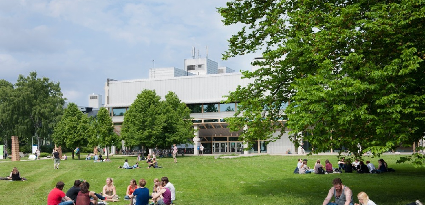 Students sitting on the grass. 