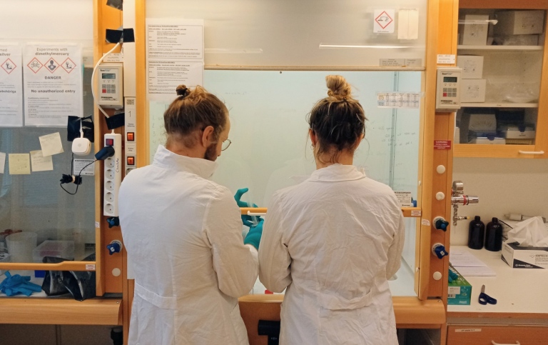 Students working in the laboratory