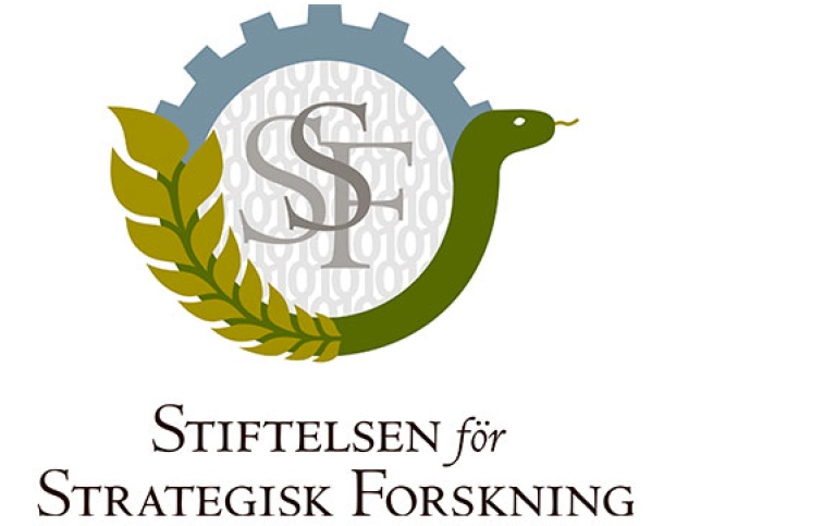 Logga för Stiftelsen för Strategisk Forskning