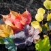 Foto: Stockholms universitet