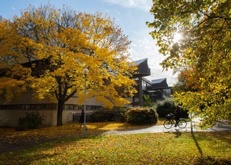 Campus Frescati at autumn