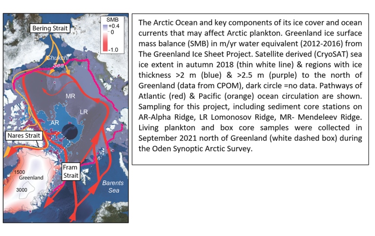 Map of greenland with ocean circulation