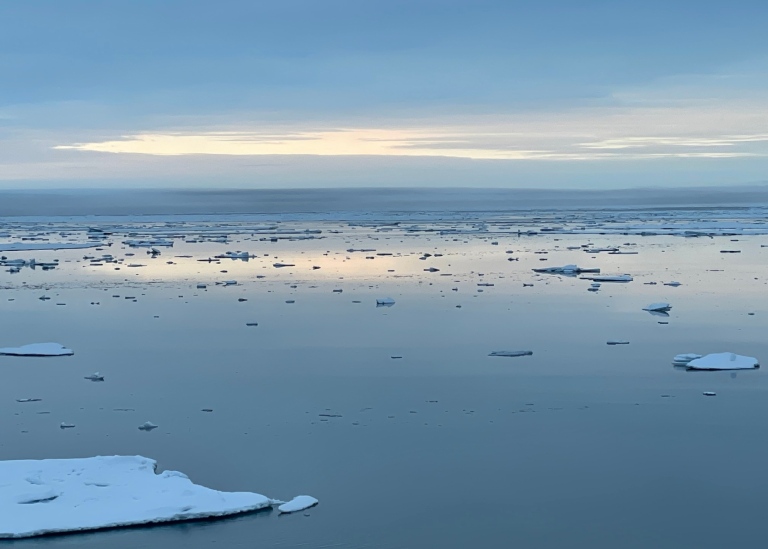 Smältande havsis norr om Grönland