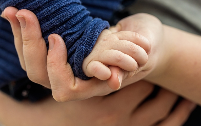 Småbarns hand i vuxens. Foto: Myriams-Fotos från Pixabay.