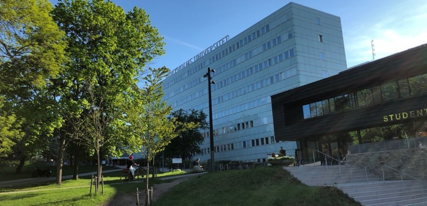 En stig leder upp till hus A och Studenthuset. 
