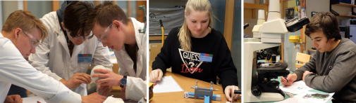 Bilder av elever som laborerar.