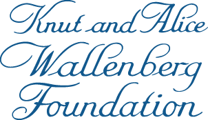 Foundation name in handwriting.