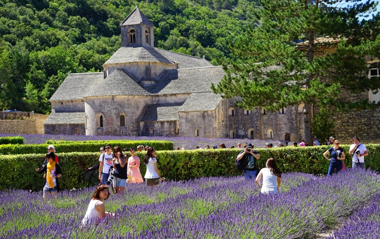 Lavender field next to old stone church. Photo: Hans Braxmeier from Pixabay.