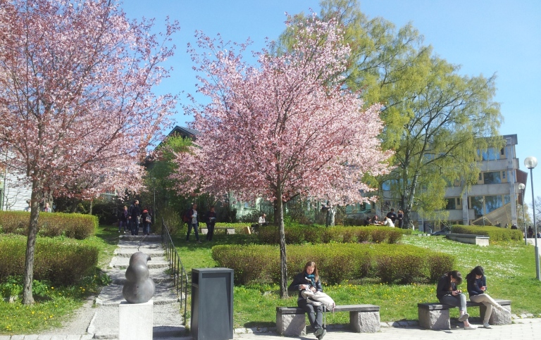 Photo: Per Larsson/Stockholm University 