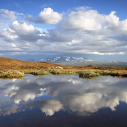 Lake in Jämtland with Sylarna mountains in the background. Photo Stefano Manzoni.