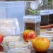 apples lab