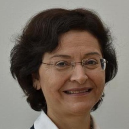 Photo: N/A, License: N/A Farzaneh Moinian, universitetslektor, Uppsala universitet.