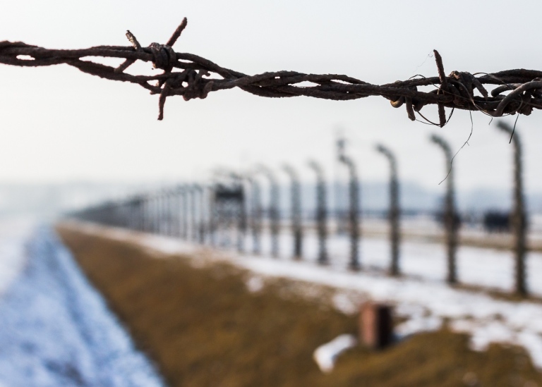 close-up of the barbs from the perimeter of auschwitz