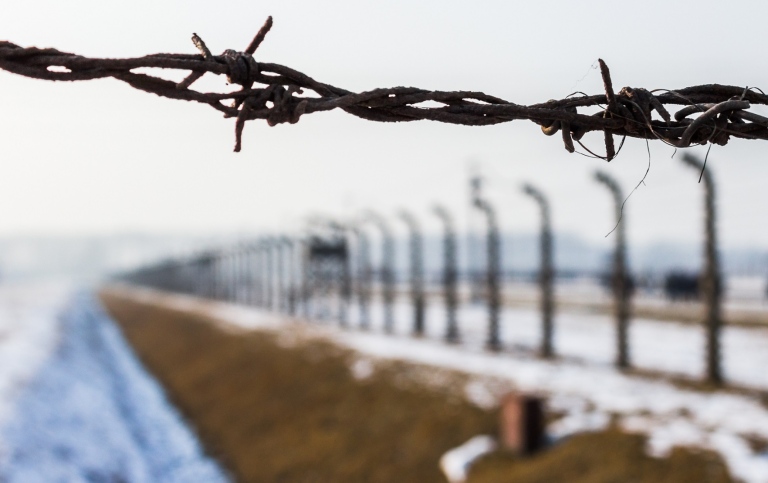 close-up of the barbs from the perimeter of auschwitz