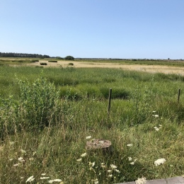 A wetland that was restored to increase the water supplies in Southern Öland. Photo: Elin Lundquist.