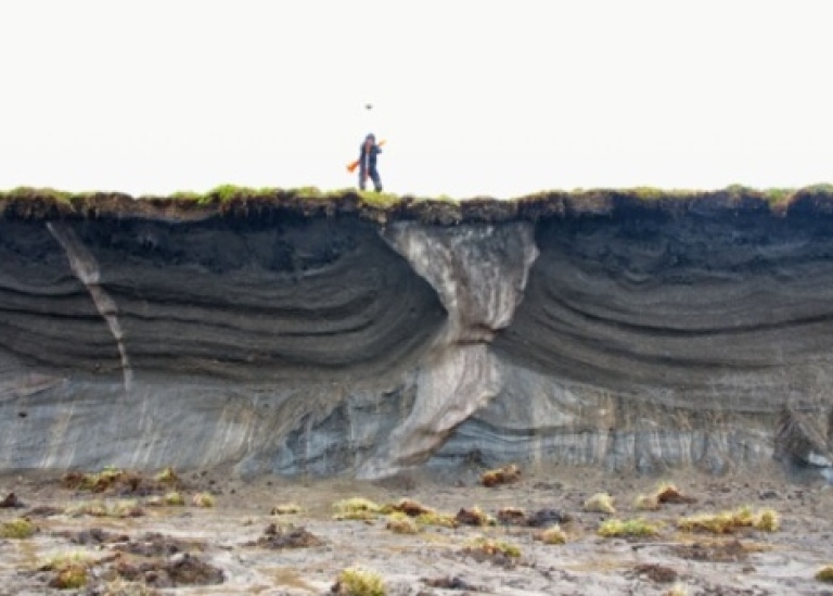 Ice-wedges on Herschel Island. Photo: Matthias Siewert.