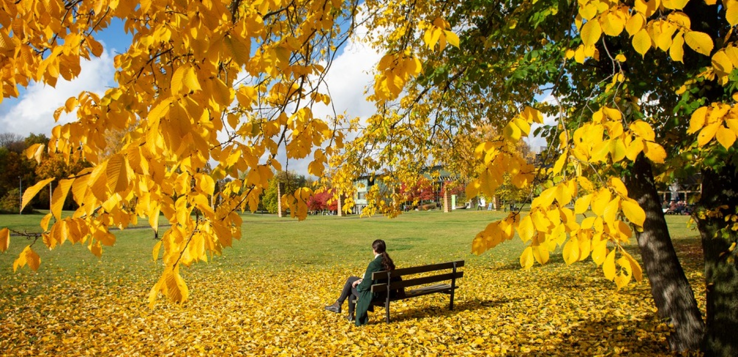 Campus in fall - atmosfär 293