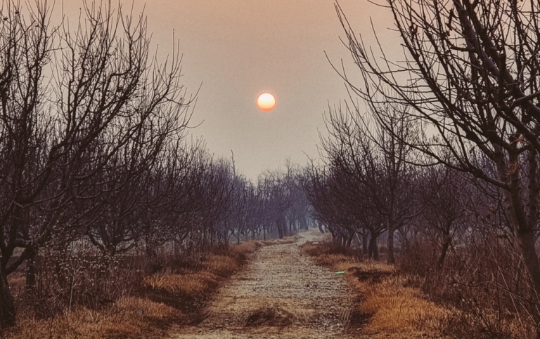 Snow-free winter day. Photo: Rouf Bhat from Pexels.