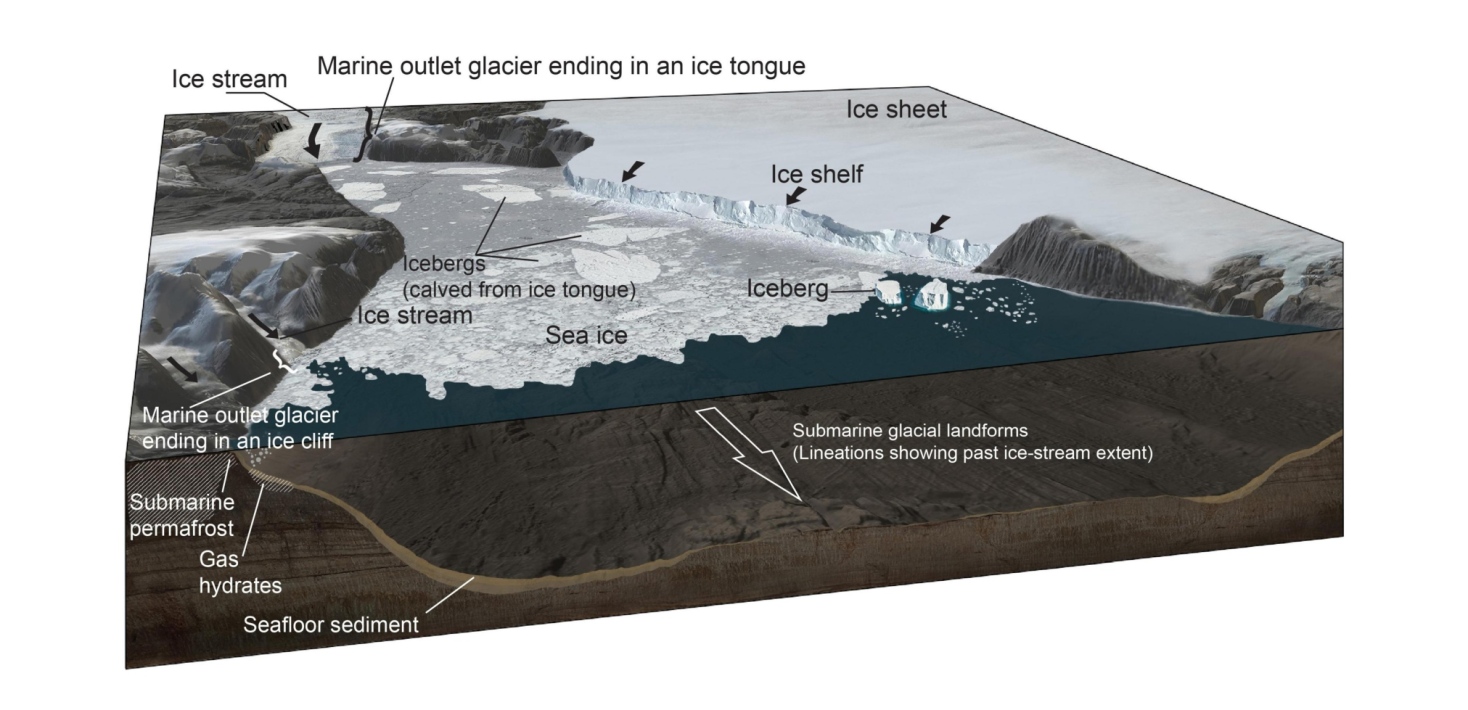 illustration of marine outlet glacier ending in an ice tongue