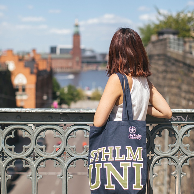 Student looking over Stockholm