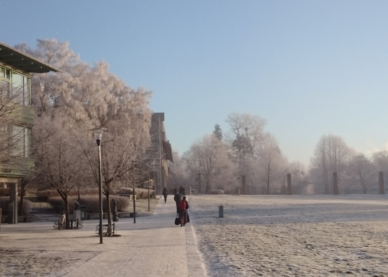 Landscape photo of campus a frosty day