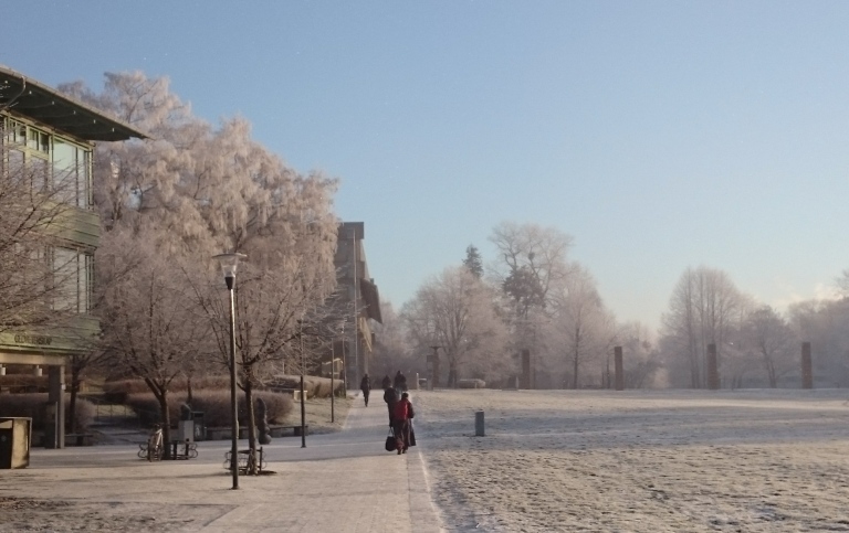 Landscape photo of campus a frosty day