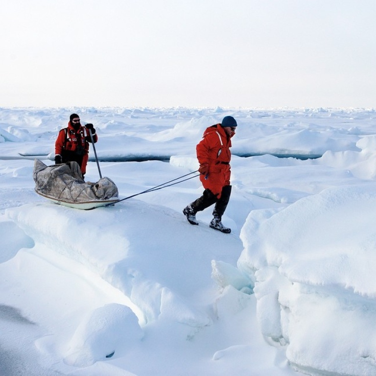 Forskare på Arktis studerar havsisens utveckling.