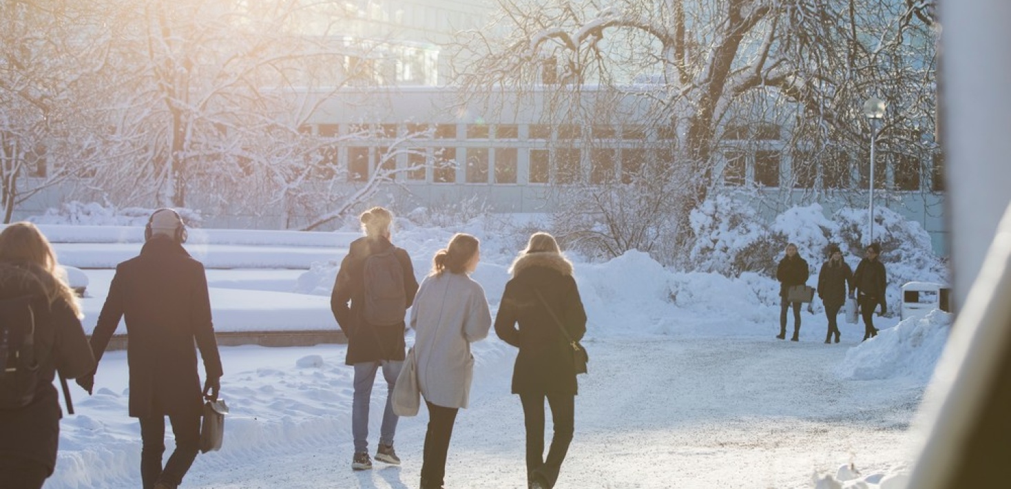 männisor som går mot södra husen i vinterlandskap