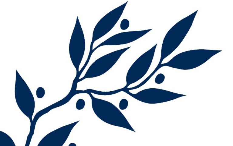 Cover thesis dark blue graphical olive branch, white background