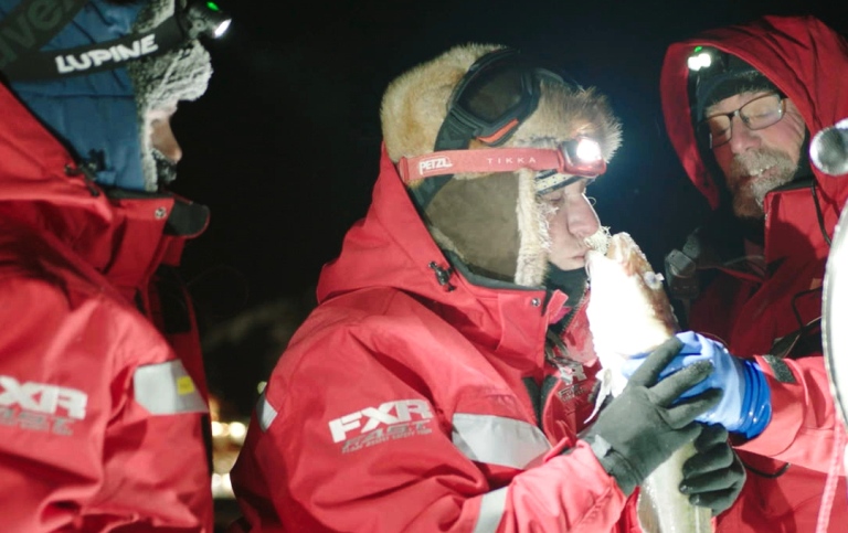 Forskarteam fångar fisk i Arktis 2020 under expeditionen MOSAiC.