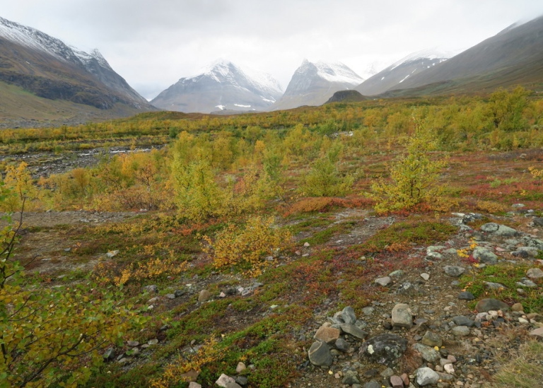 Mountain landscape