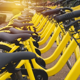 Genre photo: A row of yellow rental bicycles. Photo: Krisana Antharith/Mostphotos.